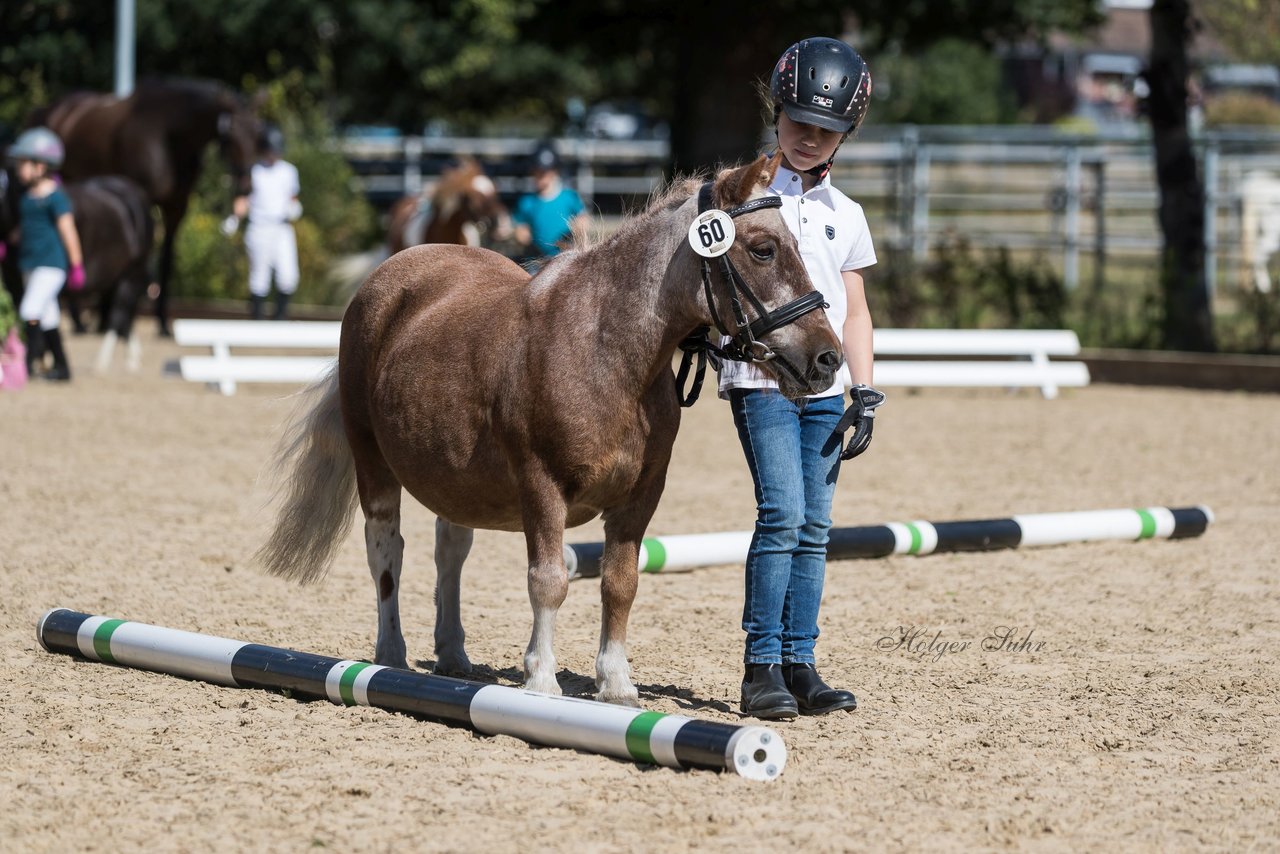 Bild 178 - Pony Akademie Turnier